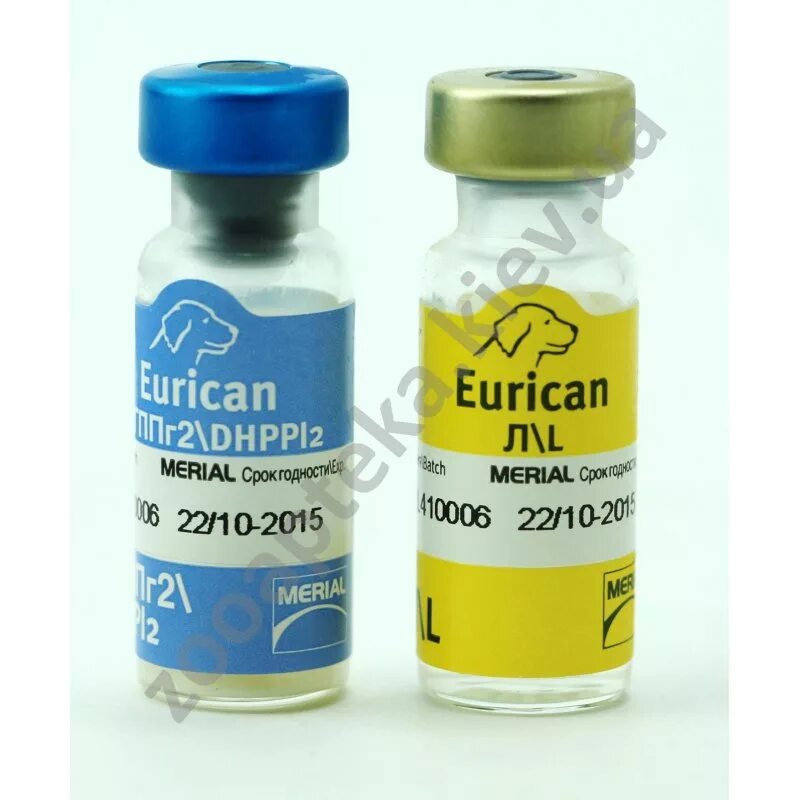 Вакцина dhppi lr. Эурикан dhppi2 вакцина для собак. Эурикан для собак dhppi2. Эурикан LR И dhppi2. Вакцина для собак Эурикан l.