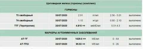 Правила тг