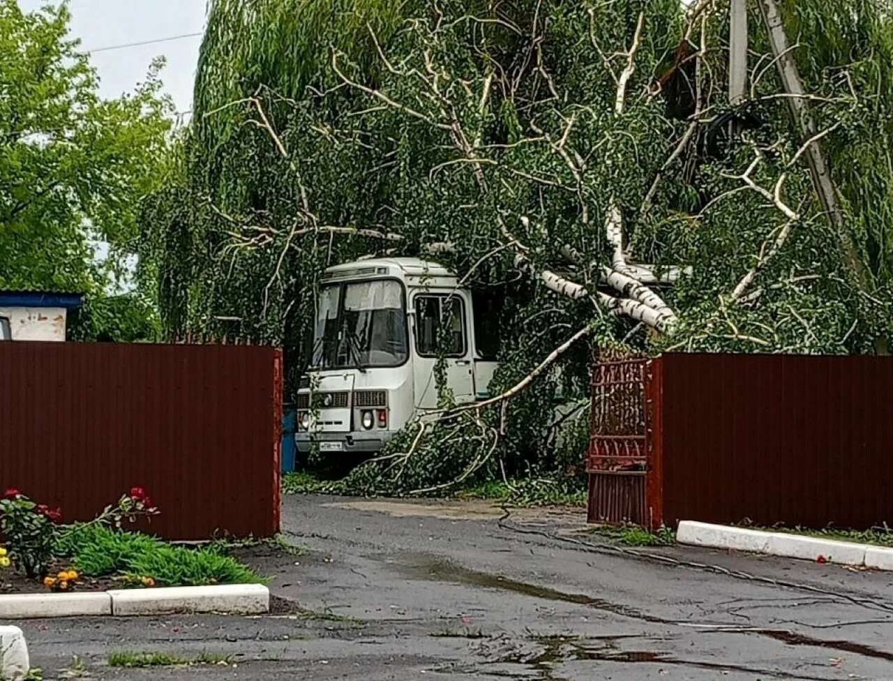 Ураган в Горшечном Курской области. Курск непогода. Курск Моква после ливней. Горшечное Курская область население фото.