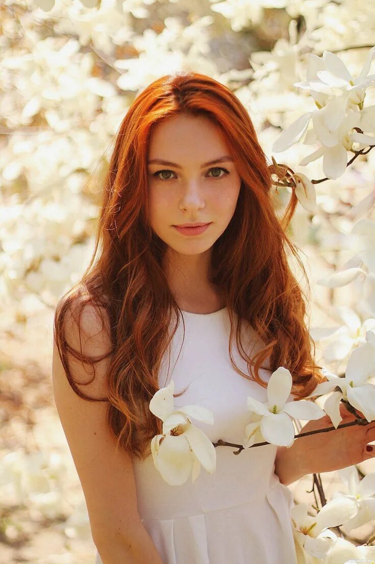 рыжие девушки. девушки рыжие 20. рыжая девочка. девушки рыжие 20. девушки рыжие 20.