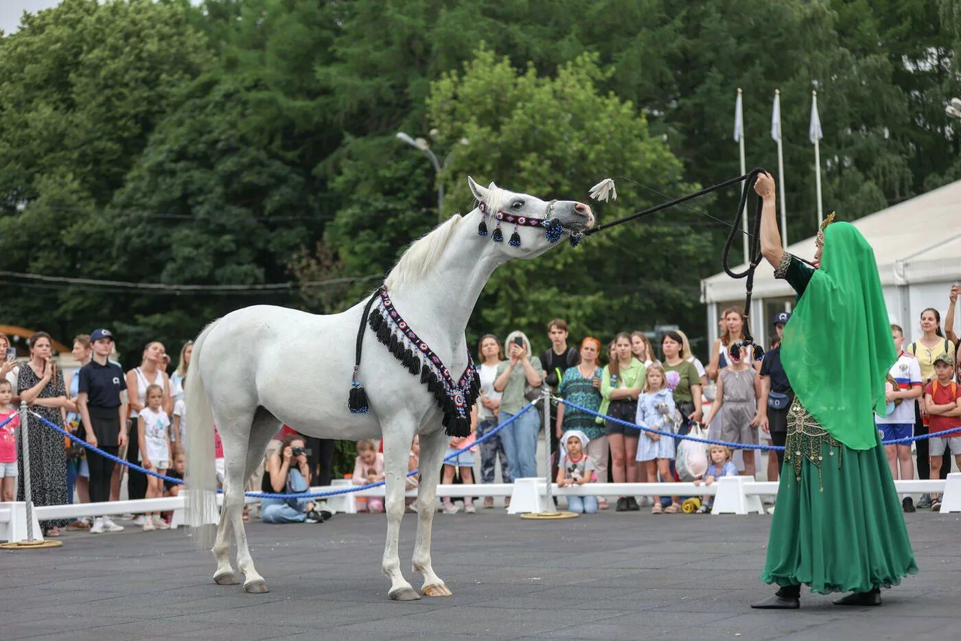 Horse moscow