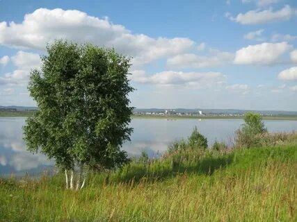 Погода в районе зеркального