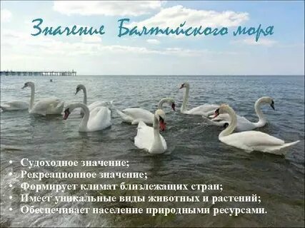 Балтийский значение