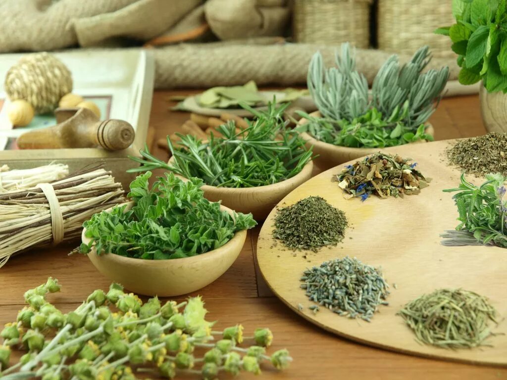 Лекарственные травы. Лекарственные и пряные травы. Душистые травы. Пряно-ароматические растения. Народные средства для памяти
