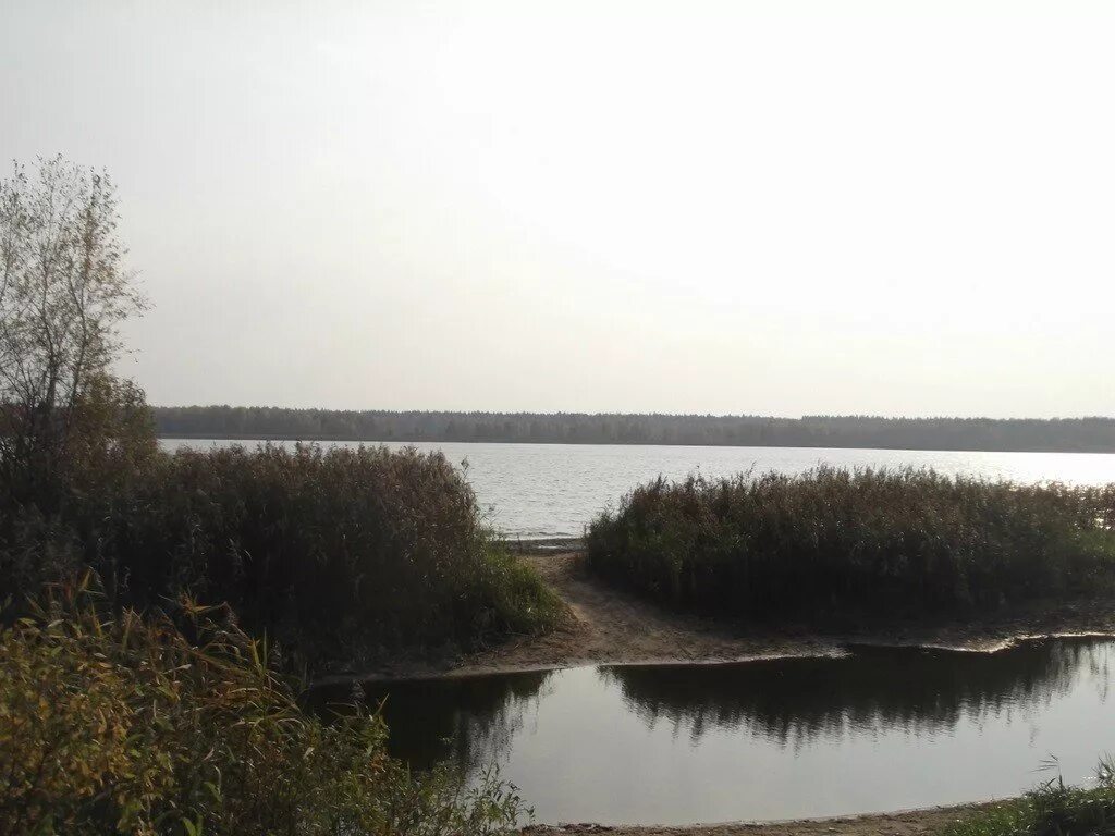 Шаховское водохранилище. Верхнерузском водохранилище. Верхнерузском водохранилище. Шаховская плотина. Шаховское водохранилище.