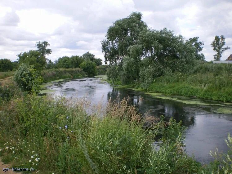 Пехорка река люберцы. Пехорка впадает. Левый приток москвы реки. Речка пехорка в балашихе. Река пехорка красково.
