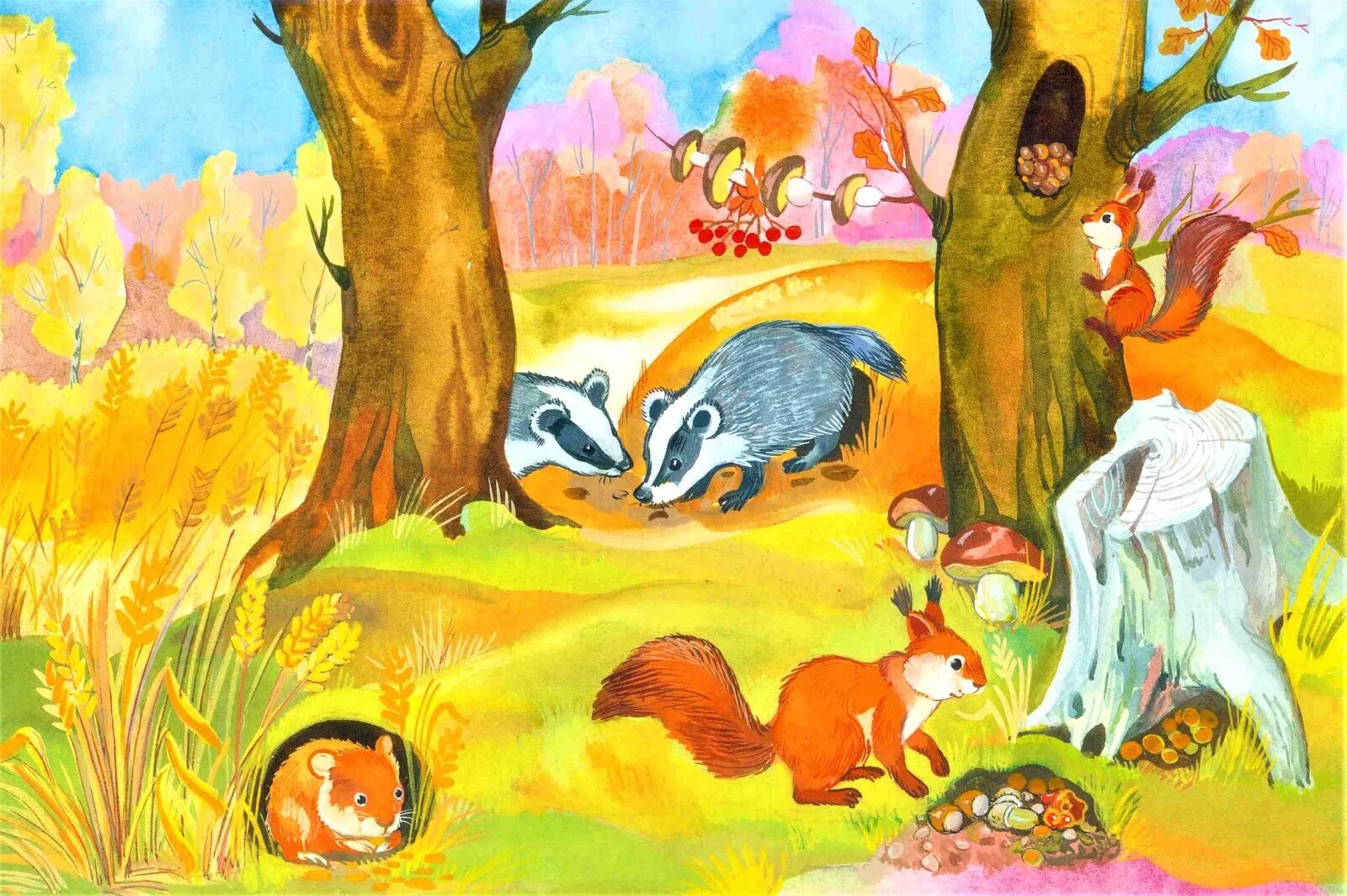 Н и сладков жизнь животных весной. Животные готовятся к зиме. Иллюстрации осень для детского сада. Осенью звери готовятся к зиме. Животные осенью для детского сада.