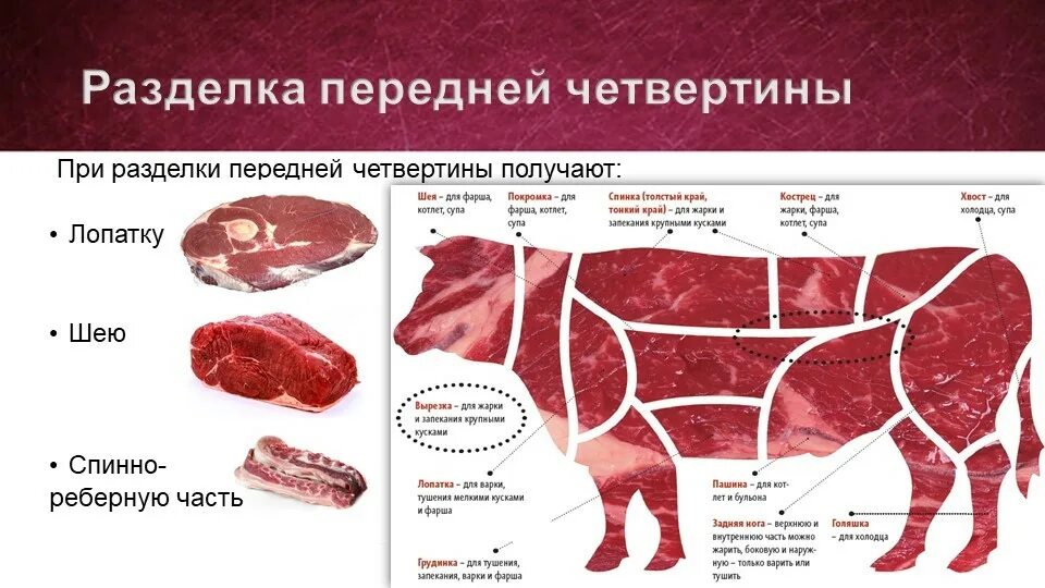 Лучшая часть мяса говядины. Разруб передней части говядины. Мясо говядины схема. Части говядины при разделке. Схема разруба говядины.