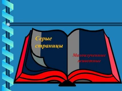 Серая красная книга