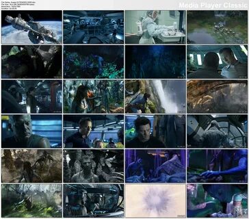 Mnogo videos net