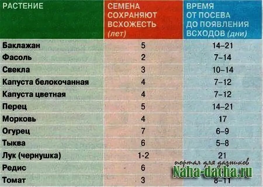 Срок прорастания семян томатов на рассаду. Сроки всхода семян перца. Срок всхожести семян перца. Срок всхожести семян томатов.