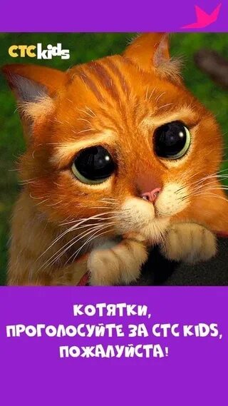 Проголосуйте пожалуйста за мою племяшку настю. Проголосуйте пожалуйста. пожалуйста проголосуйте за меня. друзья проголосуйте пожалуйста за нас в конкурсе. проголосуйте пожалуйста картинка.