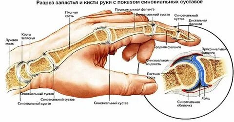 Косточки на указательном пальце руки