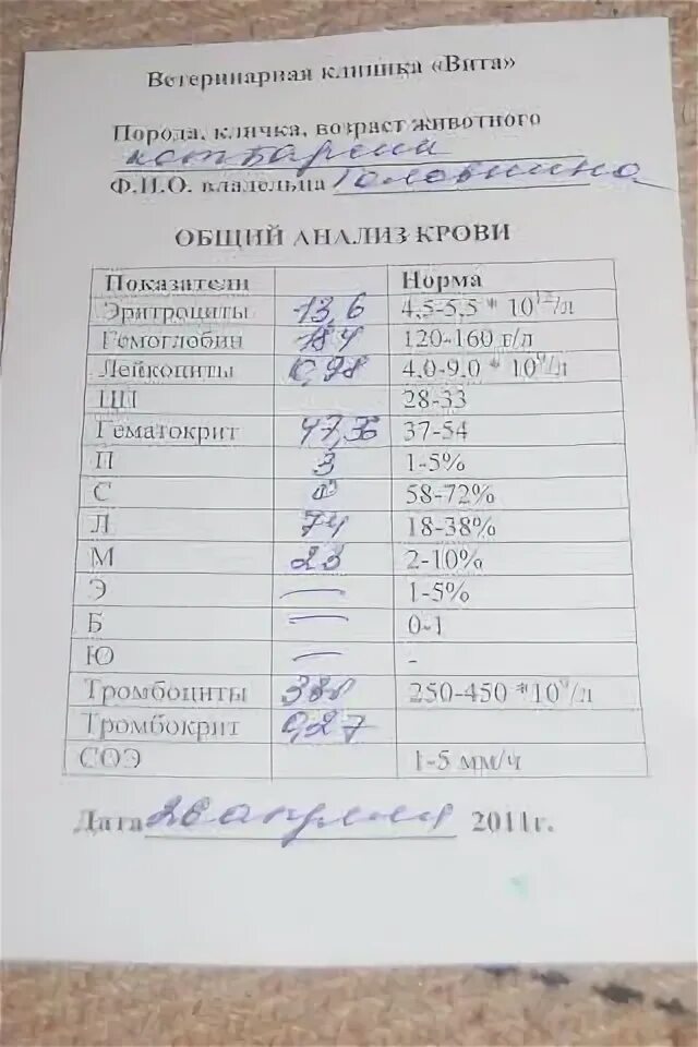 Длительность свертывания крови норма. Расшифровка анализа крови свертываемость крови. Показатели вск в крови норма. Коагулограмма пти норма. Анализ крови на свертываемость по сухареву.