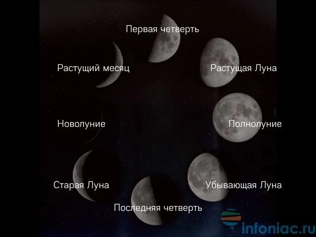 Новолуние. Как выглядит новолуние. Как выглядит Луна в новолуние фото. Фазы Луны в августе 2020. Аудиокнига новолуние