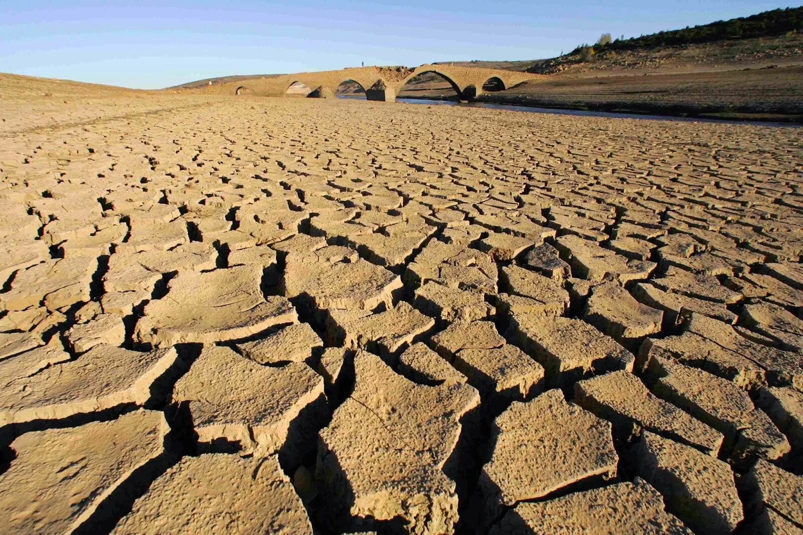 поверхность суши почва. суша почва.