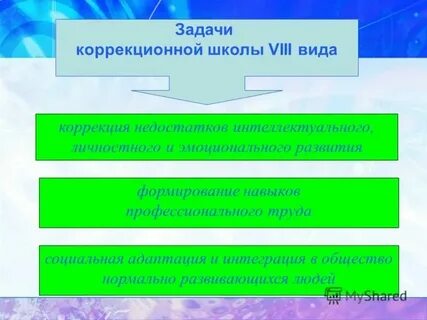 Характеристика на 8 класс коррекционной школы