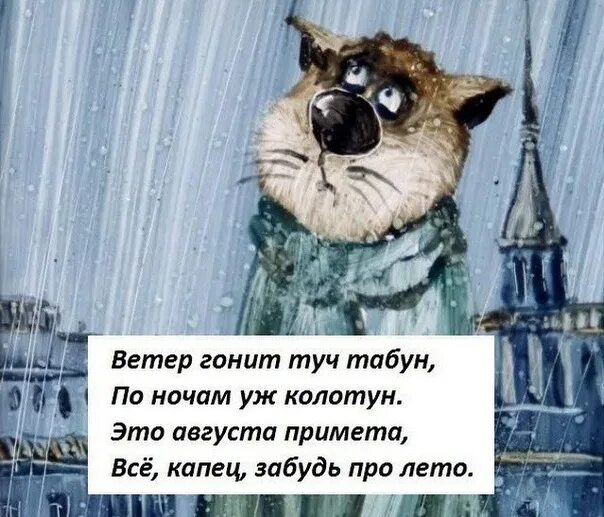 Гони холод. Ветер гонит туч табун по ночам уж колотун. Смешное стихотворение про сильный ветер. Смешные стихи про ветер. На улице колотун.