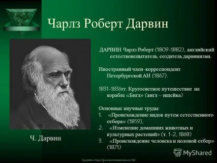 Найти лабораторию проекта дарвин