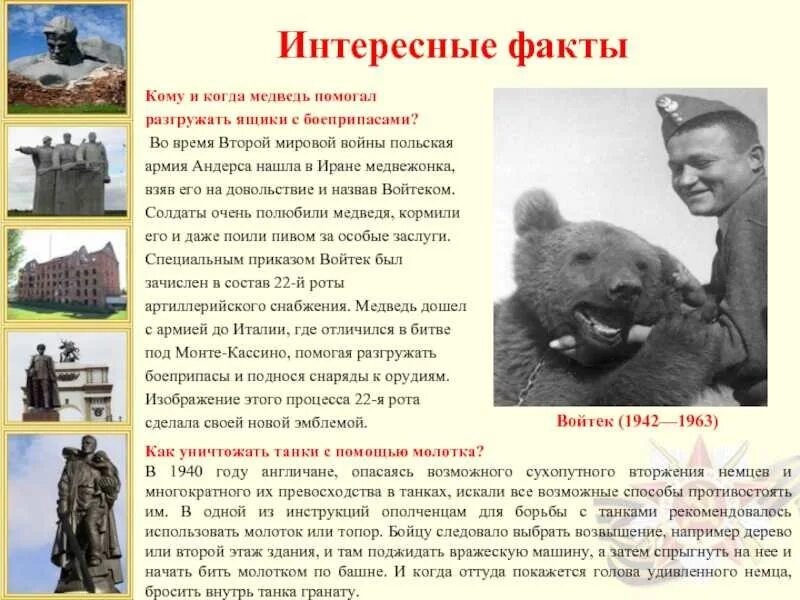 Интересные факты о войне 1941 1945