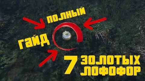 Гта 5 золотые лофофоры