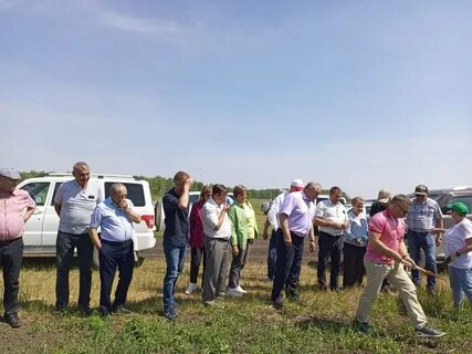 Погода в новороссийское здвинского