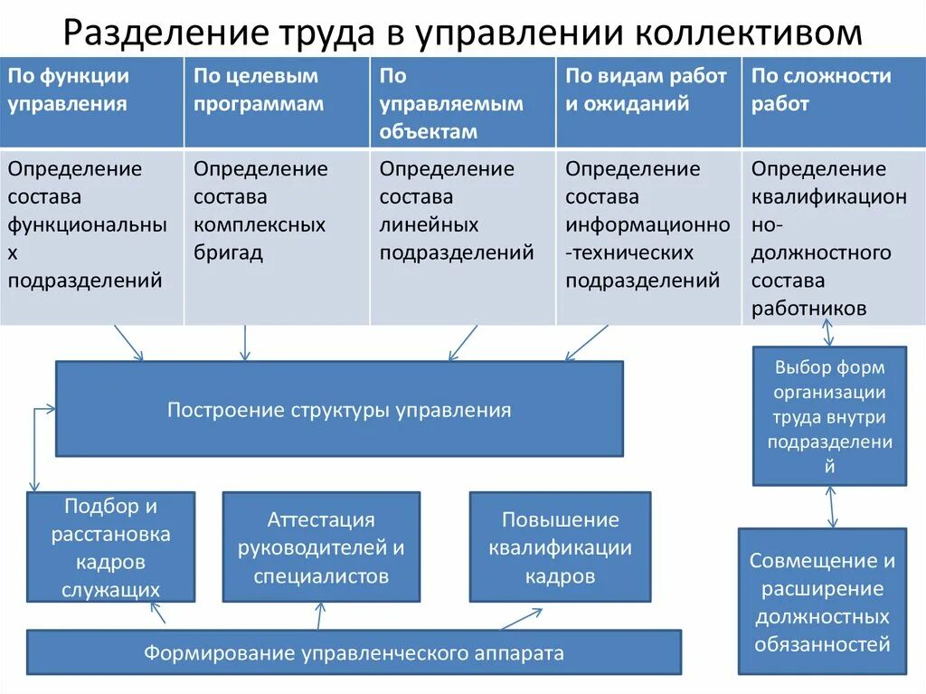 Формы организации менеджмент. Разделение труда в управлении. Виды распределения труда. Формы разделения труда в системе управления. Разделение труда в управлении коллективом.