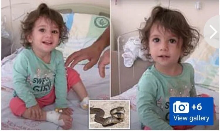 Девочка двухлетняя маленькая. 20 двухлетняя девушка. Модель даун конни роуз. Красивая двухлетняя девочка. 20 двухлетняя девушка.