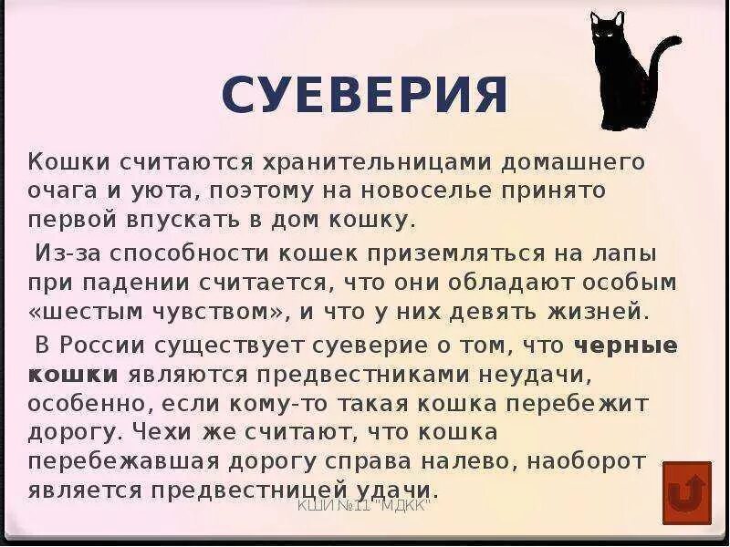 Приметы и суеверия про кошек. Поверья о кошках. Приметы и поверья, связанные с кошкой. Суеверия о кошках. В дом приходит кошка примета к чему