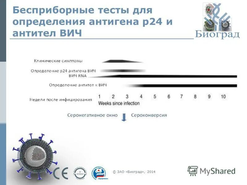 ифа тест на вич 4 поколения. ифа 4 поколения на вич через 3 недели достоверность. ифа тест на вич. ифа 4 поколения на вич через 2 недели. ифа тест на вич 4 поколения.