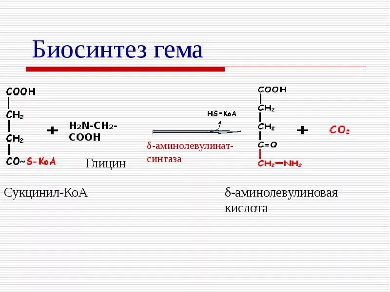 Биосинтез крови. Синтез гема биохимия реакции. Начальная реакция синтеза гема. Схема реакций синтеза гема. Аминолевулиновая кислота Синтез гема.