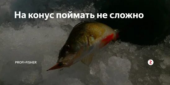 Как рыба об лед значение. Биться как рыба об лед. рыба на льду. биться как рыба об лед значение. молчит как рыба об лед.