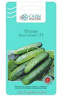 Огурец форум