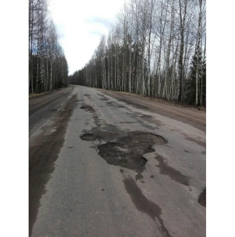 Деревня ямм в псковской. Ямм поселок. Железная дорога псков гдов остатки. Погода ямм псковскую обл. Деревня ямм в псковской.