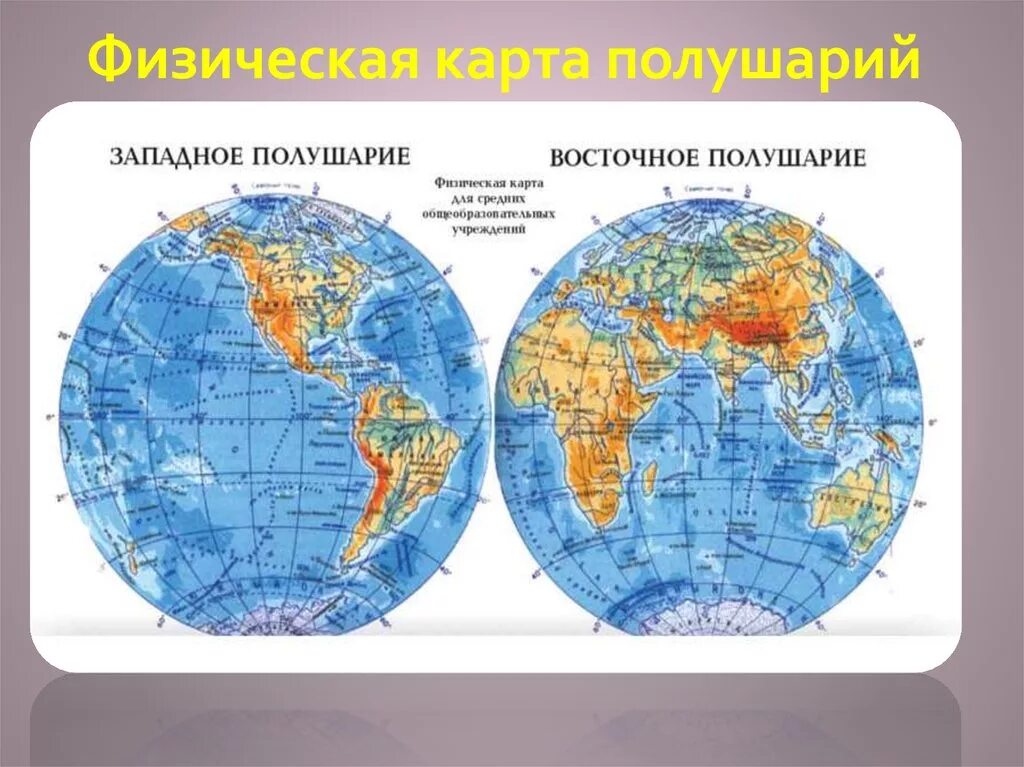Физическая карта человека