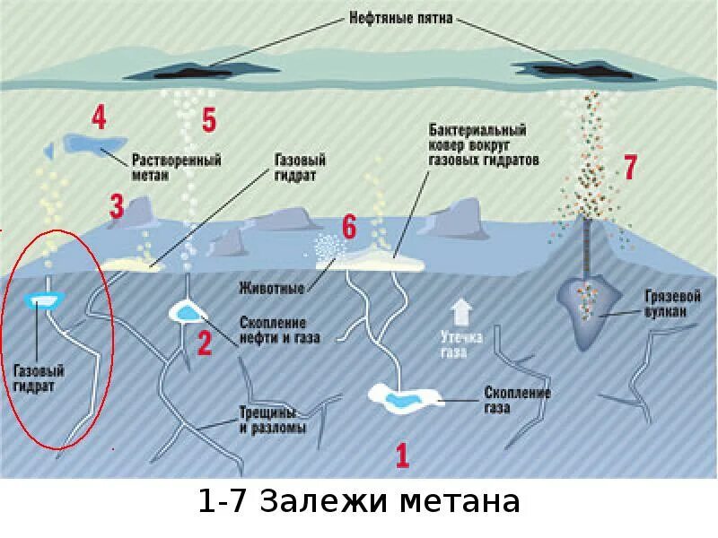 Естественное скопление нефти и газа в ловушке. Места скопления газа. Виды нефти. Залежь нефти. Разрез пласта скважина.
