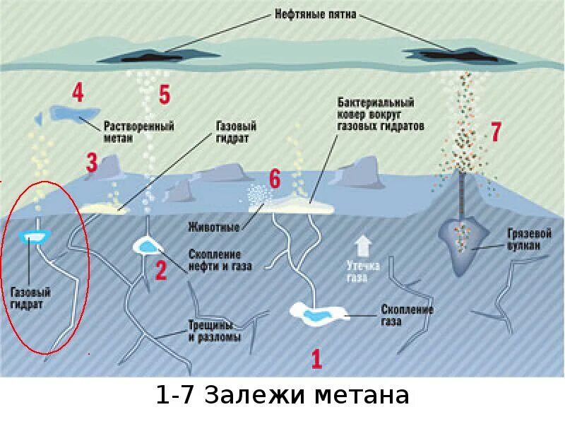 Месторождения метана. Газогидратные месторождения. Добыча газовых гидратов. Месторождения газовых гидратов. Места скопления метана.