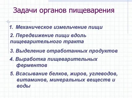 Установите последовательность перемещения