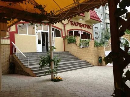 Барбарис кисловодск