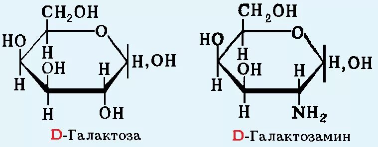 Д галактоза формула. Строение галактозы формула. Галактоза циклическая формула. D галактоза формула.