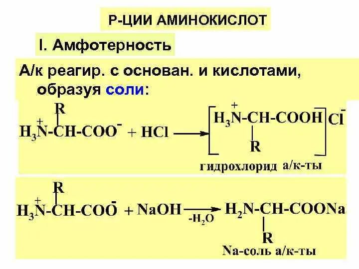Основные свойства аминокислот реакции. Аминокислоты химические свойства амфотерность. Амфотерность аминокислот. Амфотерность глицина. Амфотерные свойства аминокислот.