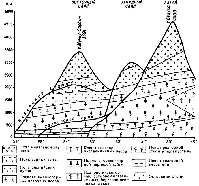 высокогорная природная зона. природные зоны гор. высотная поясность гор алтая. восточный саян высотная поясность. высотная поясность тянь шаня в казахстане.
