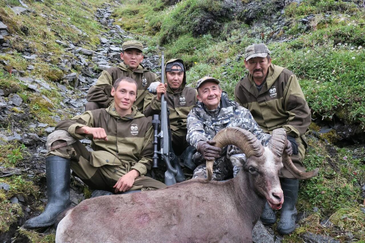 Охота на горного барана в Якутии. Горная охота на снежного барана в Якутии. Охота якутске