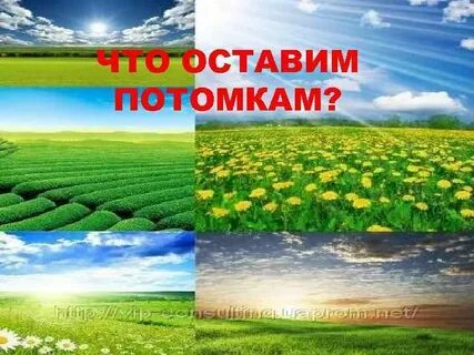 Доклад на тему что мы оставим потомкам
