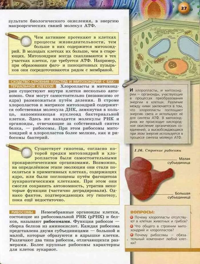 Биология 10 класс Сухорукова Кучменко. Учебник по биологии 10 класс Сухорукова Кучменко. Учебник по общей биологии 10-11 класс. Учебник по биологии 10 11 биология.