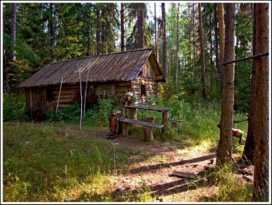 дом в лесу. лесная сторожка. домик лесника в лесу и лесник. шебекинская дача домик лесника. лесная хижина финляндия.