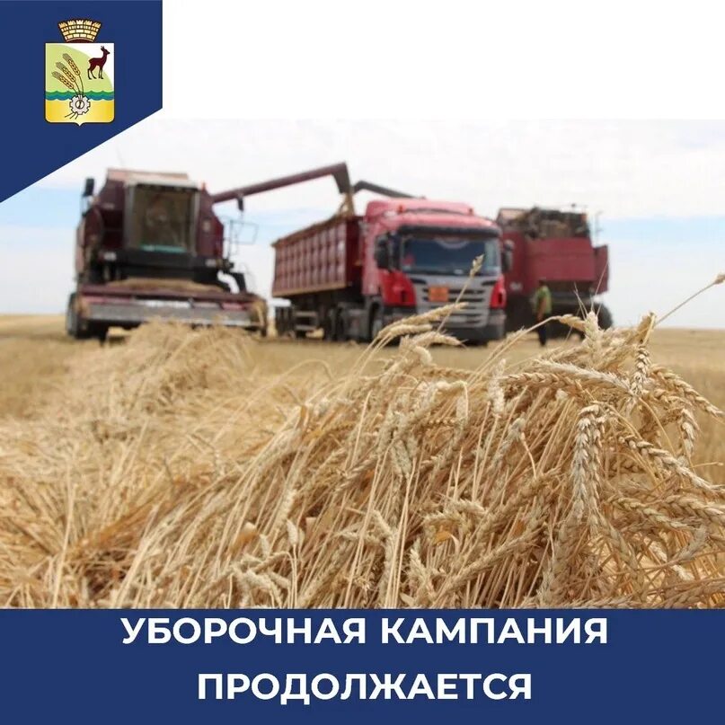 Что будет с х
