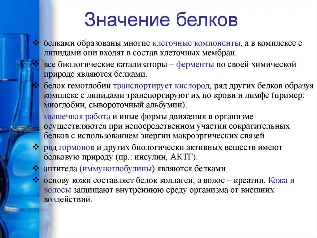 650 значение. Белки их биологическое значение. Значение белков для организма. Значение белков биология. Значение белков для организма химия.