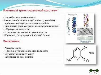 Нативный коллаген