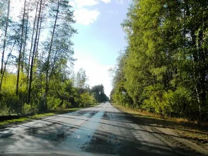 Погода орловка таловского